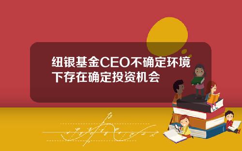 纽银基金CEO不确定环境下存在确定投资机会