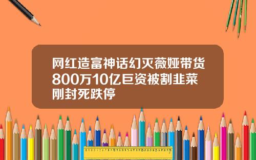 网红造富神话幻灭薇娅带货800万10亿巨资被割韭菜刚封死跌停