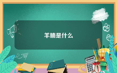 羊腩是什么
