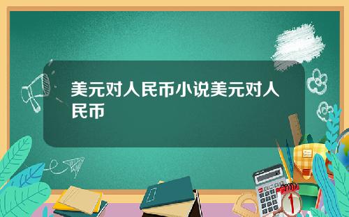 美元对人民币小说美元对人民币
