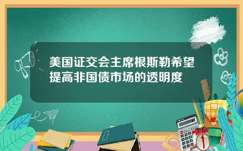 美国证交会主席根斯勒希望提高非国债市场的透明度