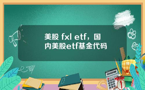 美股 fxl etf，国内美股etf基金代码