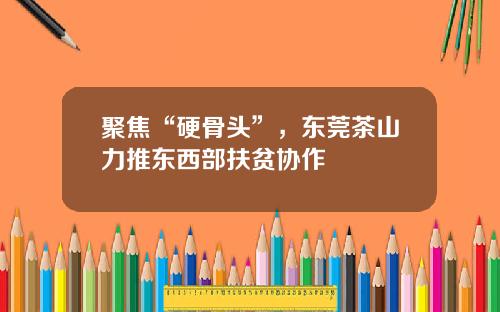 聚焦“硬骨头”，东莞茶山力推东西部扶贫协作