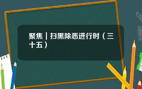 聚焦｜扫黑除恶进行时（三十五）