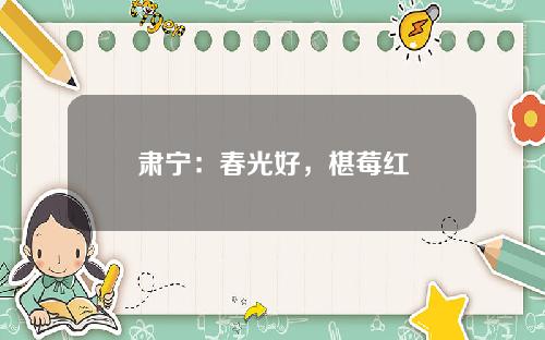 肃宁：春光好，椹莓红