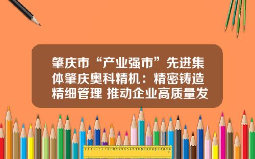 肇庆市“产业强市”先进集体肇庆奥科精机：精密铸造 精细管理 推动企业高质量发展