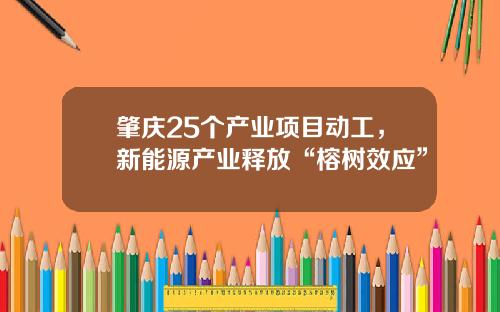 肇庆25个产业项目动工，新能源产业释放“榕树效应”