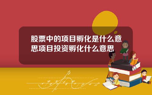 股票中的项目孵化是什么意思项目投资孵化什么意思