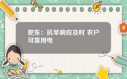 肥东：抗旱响应及时 农户可靠用电