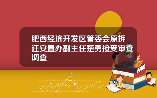 肥西经济开发区管委会原拆迁安置办副主任楚勇接受审查调查