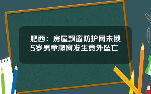 肥西：房屋飘窗防护网未锁5岁男童爬窗发生意外坠亡