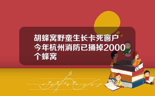 胡蜂窝野蛮生长卡死窗户 今年杭州消防已捅掉2000个蜂窝