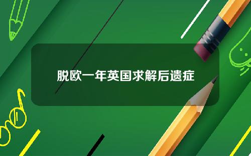 脱欧一年英国求解后遗症