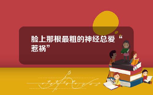 脸上那根最粗的神经总爱“惹祸”
