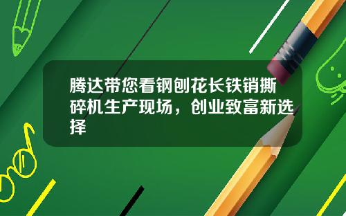 腾达带您看钢刨花长铁销撕碎机生产现场，创业致富新选择