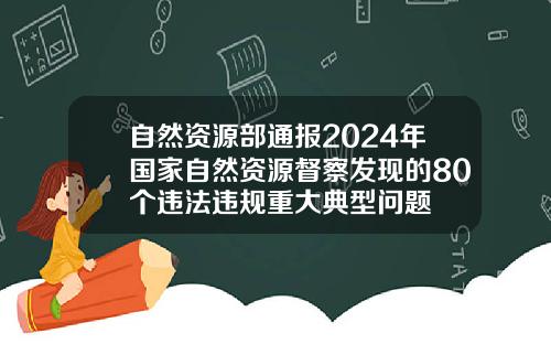自然资源部通报2024年国家自然资源督察发现的80个违法违规重大典型问题