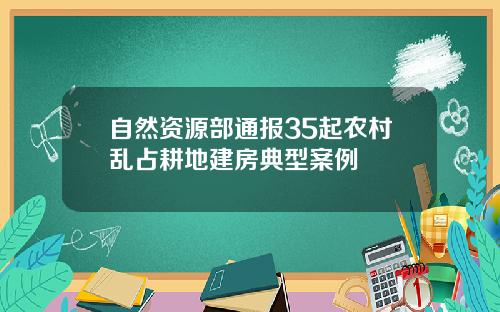 自然资源部通报35起农村乱占耕地建房典型案例