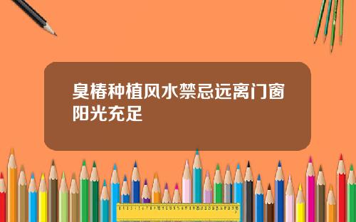 臭椿种植风水禁忌远离门窗阳光充足