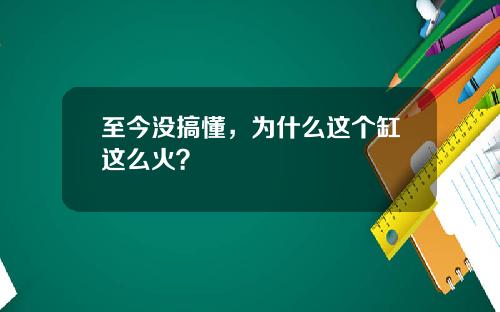 至今没搞懂，为什么这个缸这么火？