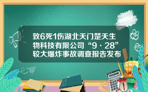 致6死1伤湖北天门楚天生物科技有限公司“9·28”较大爆炸事故调查报告发布