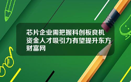 芯片企业需把握科创板良机资金人才吸引力有望提升东方财富网