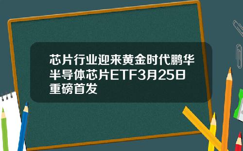 芯片行业迎来黄金时代鹏华半导体芯片ETF3月25日重磅首发