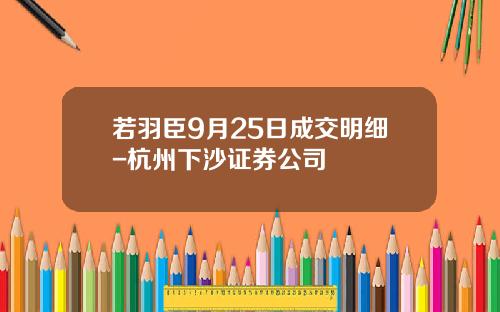 若羽臣9月25日成交明细-杭州下沙证券公司