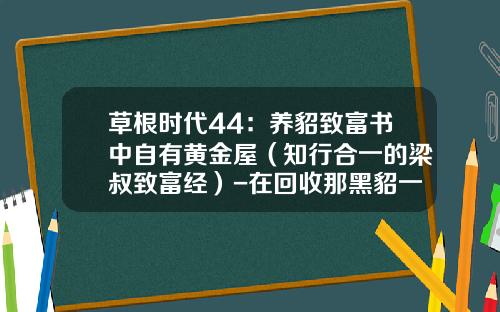 草根时代44：养貂致富书中自有黄金屋（知行合一的梁叔致富经）-在回收那黑貂一般都多少钱