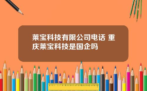 莱宝科技有限公司电话 重庆莱宝科技是国企吗