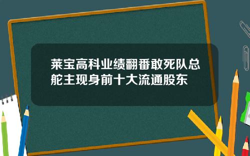 莱宝高科业绩翻番敢死队总舵主现身前十大流通股东