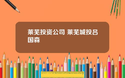 莱芜投资公司 莱芜城投吕国森