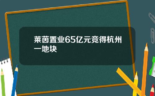 莱茵置业65亿元竞得杭州一地块