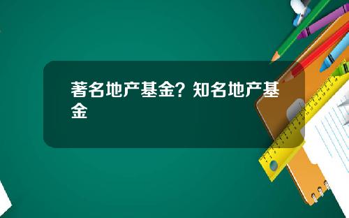 著名地产基金？知名地产基金