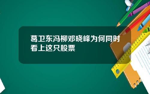 葛卫东冯柳邓晓峰为何同时看上这只股票