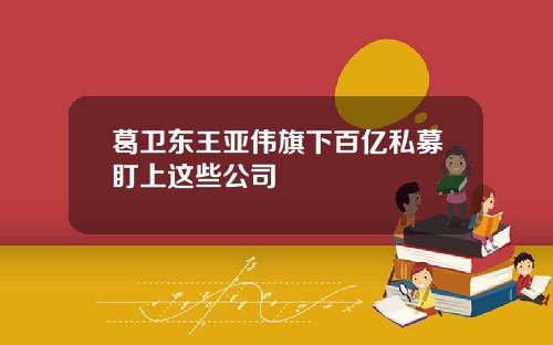 葛卫东王亚伟旗下百亿私募盯上这些公司
