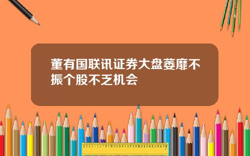 董有国联讯证券大盘萎靡不振个股不乏机会