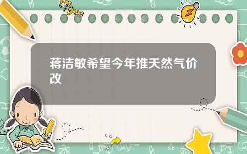 蒋洁敏希望今年推天然气价改