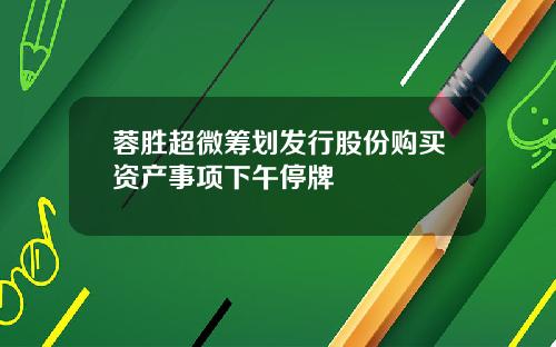 蓉胜超微筹划发行股份购买资产事项下午停牌