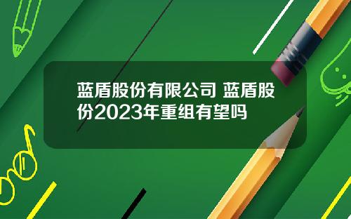 蓝盾股份有限公司 蓝盾股份2023年重组有望吗
