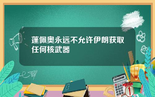 蓬佩奥永远不允许伊朗获取任何核武器