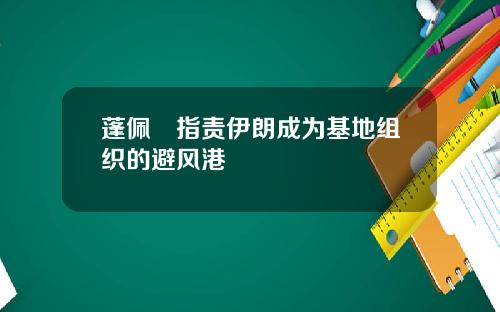 蓬佩奧指责伊朗成为基地组织的避风港