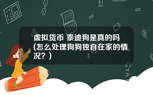 虚拟货币 泰迪狗是真的吗(怎么处理狗狗独自在家的情况？)
