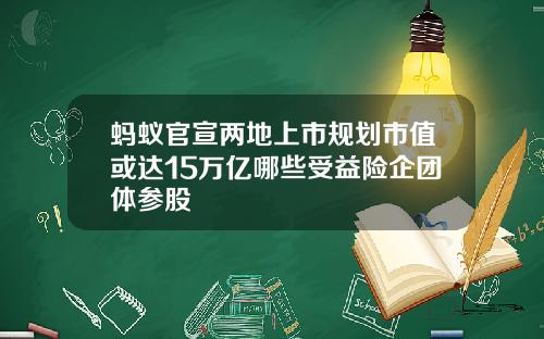 蚂蚁官宣两地上市规划市值或达15万亿哪些受益险企团体参股