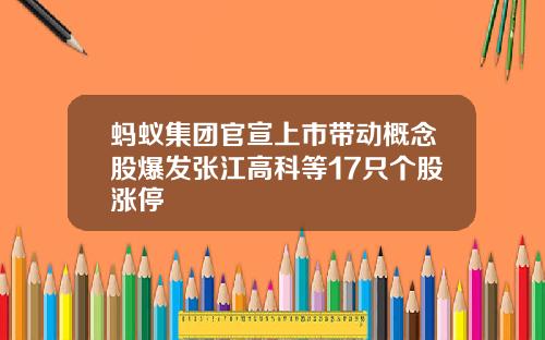 蚂蚁集团官宣上市带动概念股爆发张江高科等17只个股涨停