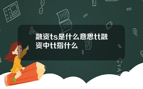 融资ts是什么意思tt融资中tt指什么