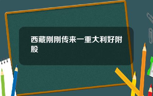 西藏刚刚传来一重大利好附股