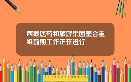 西藏医药和旅游集团整合重组前期工作正在进行