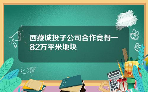 西藏城投子公司合作竞得一82万平米地块