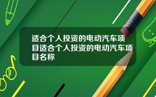 适合个人投资的电动汽车项目适合个人投资的电动汽车项目名称