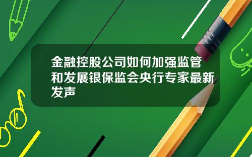 金融控股公司如何加强监管和发展银保监会央行专家最新发声